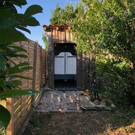 Les Du Vigné